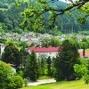 mislinja 6335.JPG