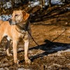 pexels-aleksandar069-13239221.jpg