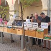 mikk-murska-sobota, mikk30, 30-let-delovanja, grajsko-dvorisce, sejem