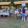 moravske-toplice, eva-boto, koncert, poletje