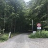 obcina-kocevje, cesta-pod-stojno