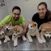 belokranjska_veterinarska_sluzba.jpg