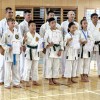 okinava, kk-brezice-soltec