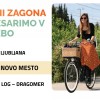 kolesarimo.jpg