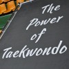 fight-club-shony, kukkiwon