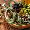 Oljka, oljčni listi, olive