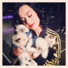 Katy Perry svoje naklonjenosti do mačk nikoli ni skrivala. Njena najbolj znana mačja spremljevalka je bila Kitty Purry, katere ime je bilo duhovita izpeljanka pevkinega umetniškega imena.