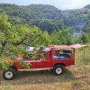 v-kraju-bucerca-gorel-travnik-in-podrast