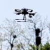 dron