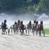 ljutomer, xxxvi-slovenski-kasaški-derby.