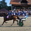 ljutomer, xxxvi-slovenski-kasaški-derby.