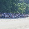 ljutomer, xxxvi-slovenski-kasaški-derby.