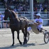 ljutomer, xxxvi-slovenski-kasaški-derby.