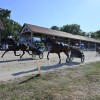 ljutomer, xxxvi-slovenski-kasaški-derby.