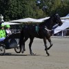 ljutomer, xxxvi-slovenski-kasaški-derby.