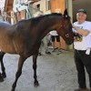 ljutomer, xxxvi-slovenski-kasaški-derby.