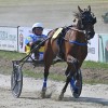ljutomer, xxxvi-slovenski-kasaški-derby.