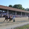 ljutomer, xxxvi-slovenski-kasaški-derby.