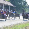 ljutomer, xxxvi-slovenski-kasaški-derby.