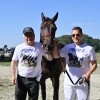 ljutomer, xxxvi-slovenski-kasaški-derby.