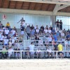 ljutomer, xxxvi-slovenski-kasaški-derby.