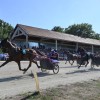 ljutomer, xxxvi-slovenski-kasaški-derby.