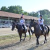 ljutomer, xxxvi-slovenski-kasaški-derby.