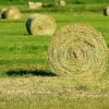 MZ Kosnja Panorame.jpg