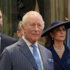 Kate Middleton, princ william, kralj karel