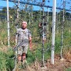 sadjarstvo, susa, toni-korsic, boris-oresek, evrosad