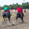 pomurski-galop, drustvo-za-zascito-konj
