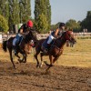 pomurski-galop, drustvo-za-zascito-konj