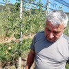 sadjarstvo, susa, toni-korsic, boris-oresek, evrosad