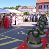 novi-zvonovi, raka