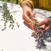 shutterstock_2152277959.jpg