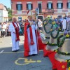 novi-zvonovi, raka