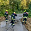gorel-traktor