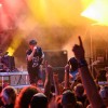 picture-on, festival, bildein