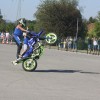 motoristi, skorpijon, stunt-show-dejana-spoljarja