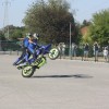 motoristi, skorpijon, stunt-show-dejana-spoljarja