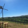 pozdrav-jeseni, 28-pozdrav-jeseni