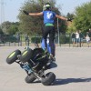 motoristi, skorpijon, stunt-show-dejana-spoljarja