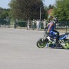 motoristi, skorpijon, stunt-show-dejana-spoljarja