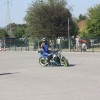 motoristi, skorpijon, stunt-show-dejana-spoljarja