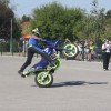 motoristi, skorpijon, stunt-show-dejana-spoljarja