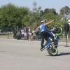 motoristi, skorpijon, stunt-show-dejana-spoljarja