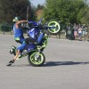 motoristi, skorpijon, stunt-show-dejana-spoljarja