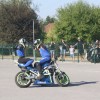 motoristi, skorpijon, stunt-show-dejana-spoljarja