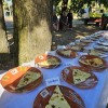 kmecki-bal, park-dozivetij-krizevci
