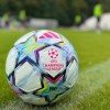 nk-celje, liga-prvakov